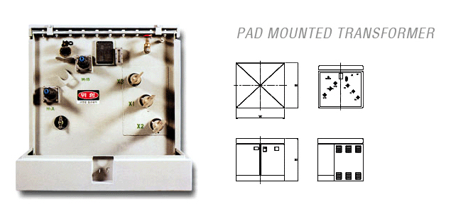 Pad Mounted Transformer view 2