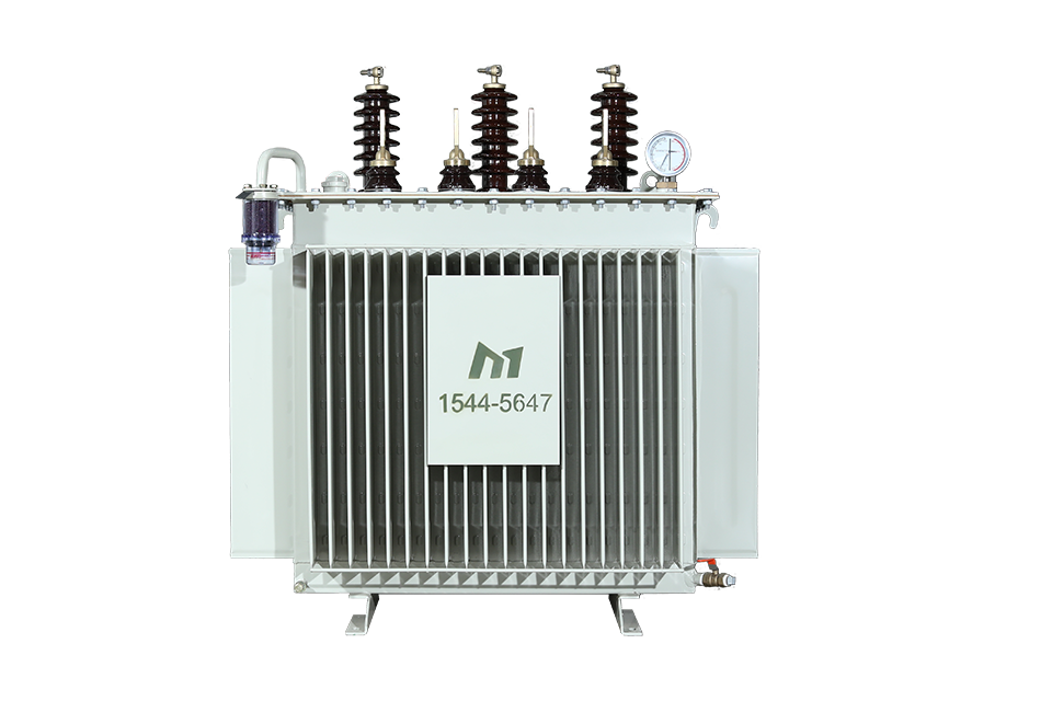 Oil-Immersed Transformer view 4